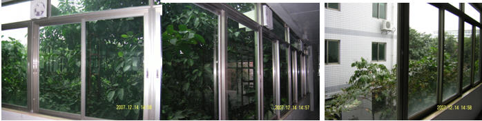 ������Ĥ|���乤��-����110���Ļ���������Ĥ