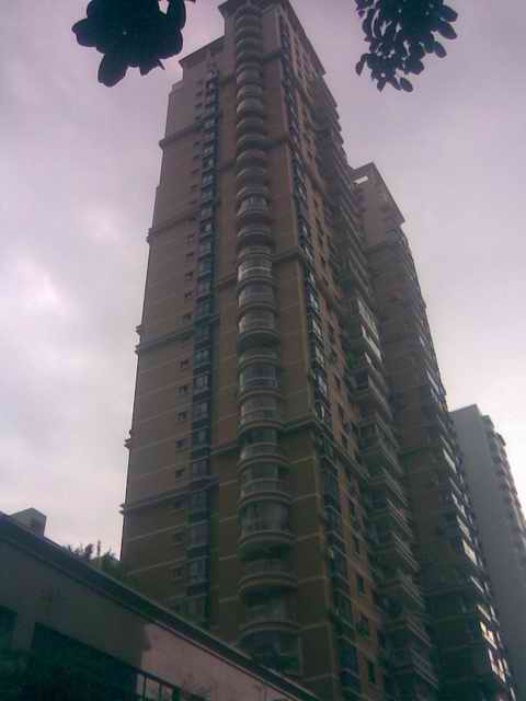 ���Ų�����Ĥ|���ȷ�����Ĥ-����������ͥ