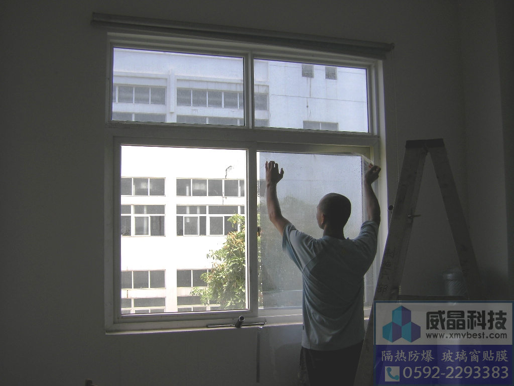 ���Ų�����Ĥ|��������Ĥ-������ҵ�칫����