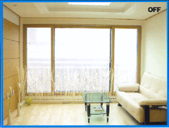 �����Ƽ����ܵ��ⲣ��(Ĥ)