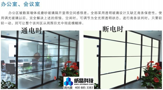 �����Ƽ����ܵ��ⲣ��(Ĥ)