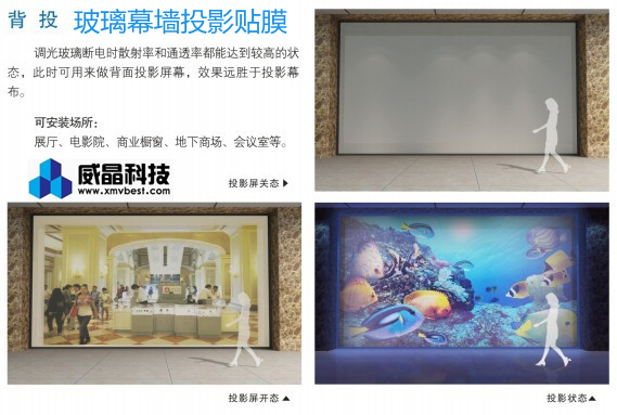 �����Ƽ����ܵ��ⲣ��(Ĥ)