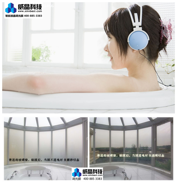 �����Ƽ����ܵ��ⲣ��(Ĥ)