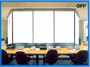 �����Ƽ����ܵ��ⲣ��(Ĥ)