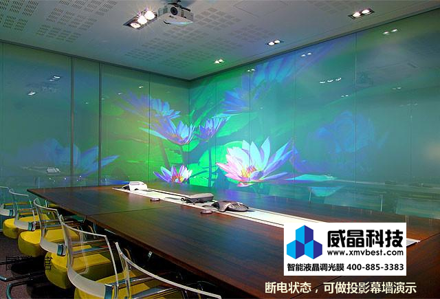 �����Ƽ����ܵ��ⲣ��(Ĥ)