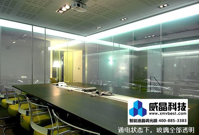 �����Ƽ����ܵ��ⲣ��(Ĥ)