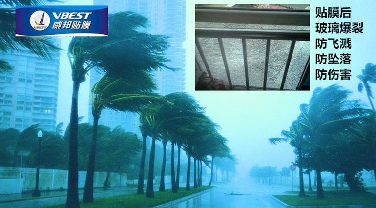 ��������������ȫ��Ĥ